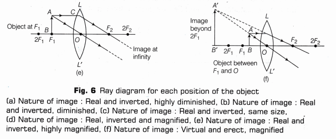 CBSE Class 10 Science Lab Manual – Image Formation by a Convex Lens 11