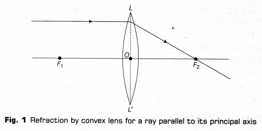 CBSE Class 10 Science Lab Manual – Image Formation by a Convex Lens 12