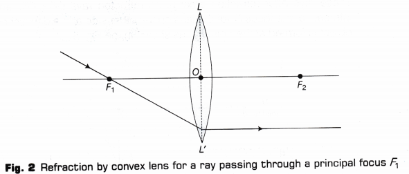 CBSE Class 10 Science Lab Manual – Image Formation by a Convex Lens 13