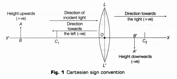 CBSE Class 10 Science Lab Manual – Image Formation by a Convex Lens 3