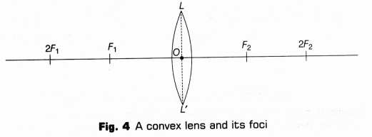 CBSE Class 10 Science Lab Manual – Image Formation by a Convex Lens 8