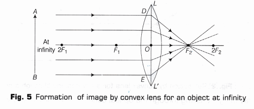 CBSE Class 10 Science Lab Manual – Image Formation by a Convex Lens 9