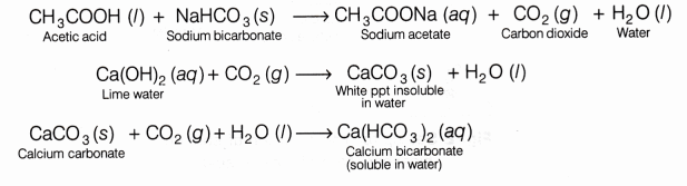 CBSE Class 10 Science Lab Manual – Properties of Acetic Acid 1