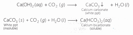 CBSE Class 10 Science Lab Manual – Properties of Acetic Acid 4