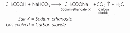 CBSE Class 10 Science Lab Manual – Properties of Acetic Acid 5