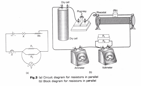 CBSE Class 10 Science Lab Manual – Resistors in Parallel 3