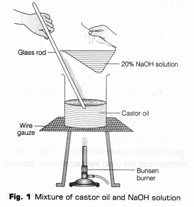 CBSE Class 10 Science Lab Manual – Soap Preparation 4
