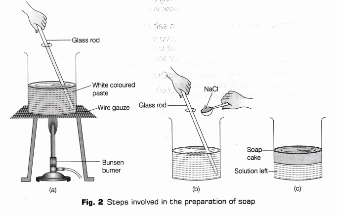 CBSE Class 10 Science Lab Manual – Soap Preparation 5
