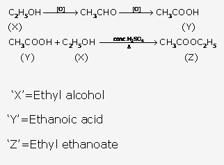 Frank ICSE Solutions for Class 10 Chemistry - Alcohols 8