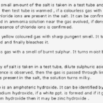 Frank ICSE Solutions for Class 10 Chemistry - Practical Work 1