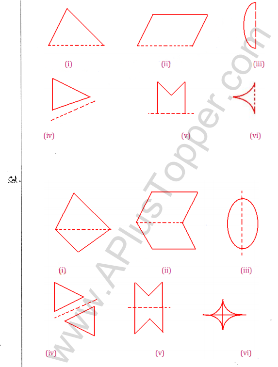 ML Aggarwal ICSE Solutions for Class 10 Maths Chapter 13 Symmetry Q1.15
