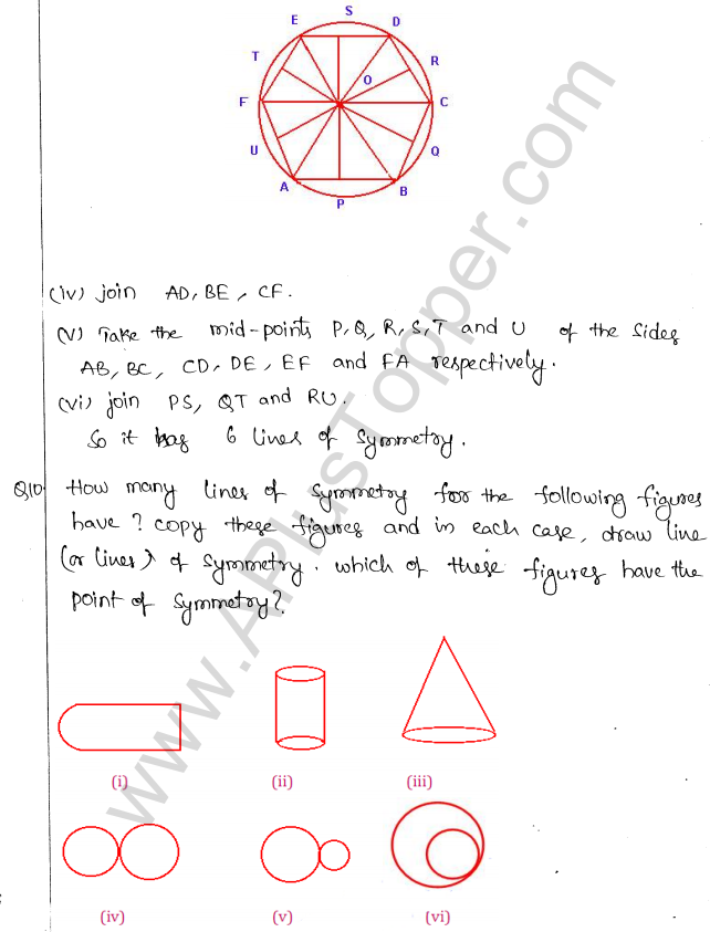 ML Aggarwal ICSE Solutions for Class 10 Maths Chapter 13 Symmetry Q1.8