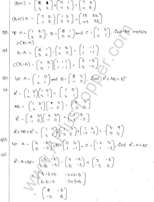 ML Aggarwal ICSE Solutions for Class 10 Maths Chapter 9 Matrices Q1.11