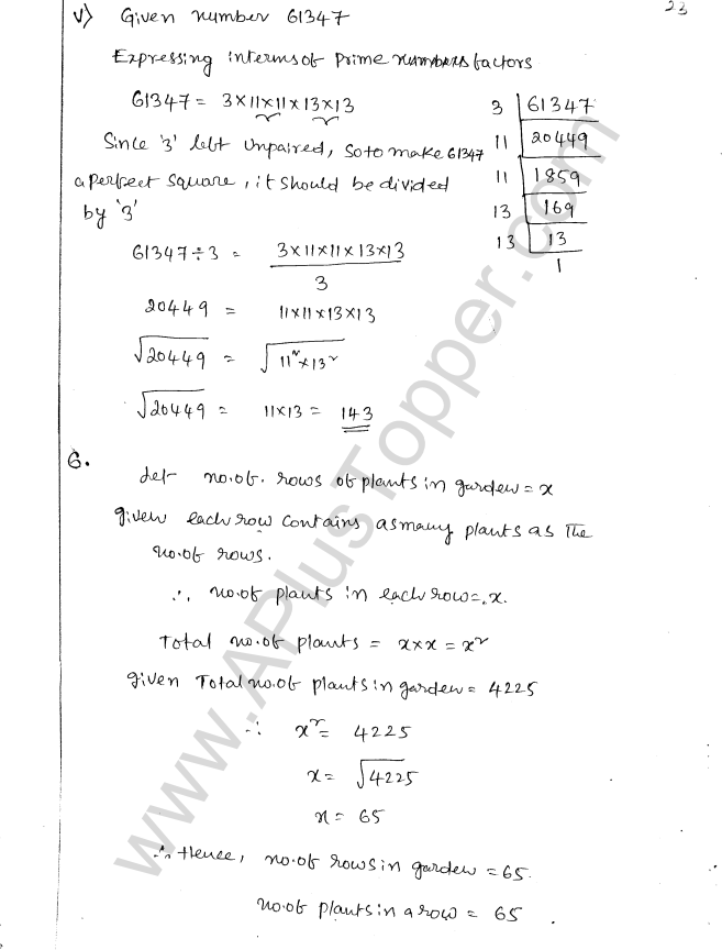 ML Aggarwal ICSE Solutions for Class 8 Maths Chapter 3 Squares and Square Roots 25