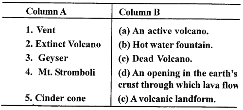 ICSE Solutions for Class 9 Geography Chapter 7 Volcanoes 4