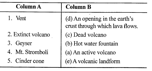 ICSE Solutions for Class 9 Geography Chapter 7 Volcanoes 5