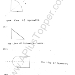ml-aggarwal-icse-solutions-for-class-6-maths-chapter-12-symmetry-1