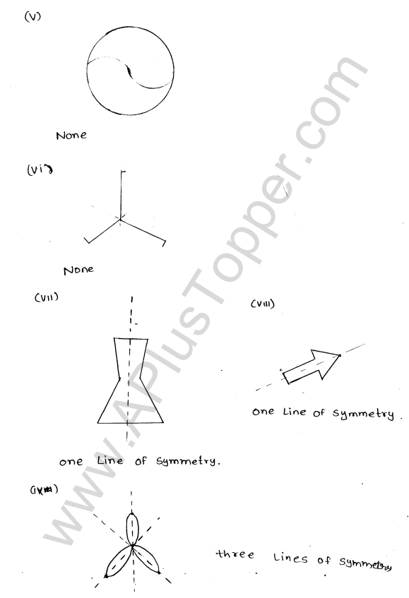 ml-aggarwal-icse-solutions-for-class-6-maths-chapter-12-symmetry-2