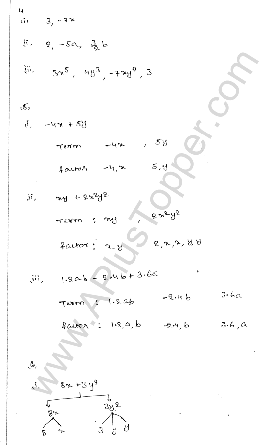 ml-aggarwal-icse-solutions-for-class-7-maths-chapter-8-algebraic-expressions-2