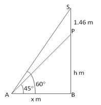 RS Aggarwal Solutions Class 10 Chapter 14 Height and Distance 14 12.1