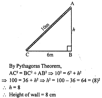 ML Aggarwal Class 9 Solutions for ICSE Maths Chapter 12 Pythagoras Theorem Q2.2