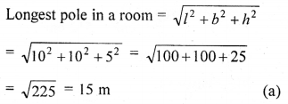 ML Aggarwal Class 9 Solutions for ICSE Maths Chapter 16 Mensuration mul Q20.1
