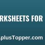 CBSE Worksheets for Class 12