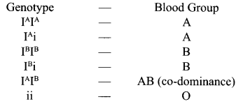 CBSE Sample Papers for Class 12 Biology Paper 3.2