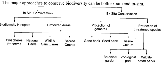 CBSE Sample Papers for Class 12 Biology Paper 4.7