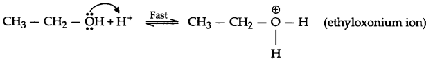 CBSE Sample Papers for Class 12 Chemistry Paper 2 Q.20.2