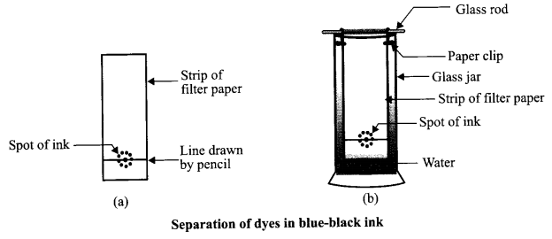 CBSE Sample Papers for Class 9 Science Paper 6 Q.17