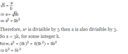 NCERT Solutions for Class 10 Maths Chapter 1 Real Numbers 11