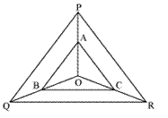 NCERT Solutions for Class 10 Maths Chapter 6 Triangles 29