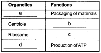 Plus One Botany Model Question Paper 1, 4