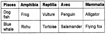 Plus One Zoology Previous Year Question Paper March 2018, 9