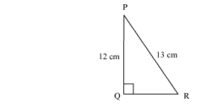 NCERT Solutions for Class 10 Maths Chapter 8 Introduction to Trigonometry 2