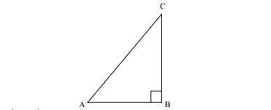 NCERT Solutions for Class 10 Maths Chapter 8 Introduction to Trigonometry 5