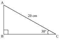 NCERT Solutions for Class 10 Maths Chapter 9 Some Applications of Trigonometry 1