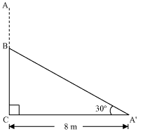 NCERT Solutions for Class 10 Maths Chapter 9 Some Applications of Trigonometry 3