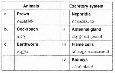 Plus One Zoology Previous Year Question Paper 2017 Q15