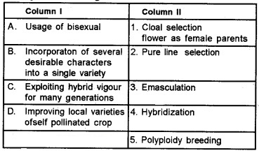 Plus Two Botany Chapter Wise Questions and Answers Chapter 3 Strategies for Enhancement in Food Production MCQ Q7