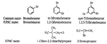 Plus Two Chemistry Notes Chapter 10 Haloalkanes and Haloarenes 6