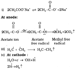 Plus One Chemistry Notes Chapter 13 Hydrocarbons 5