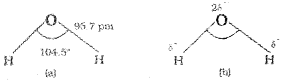 Plus One Chemistry Notes Chapter 9 Hydrogen 5
