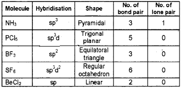 Plus One Chemistry Chapter Wise Questions and Answers Chapter 4 Chemical Bonding and Molecular Structure 4M Q6.1