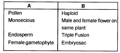 Plus Two Botany Chapter Wise Previous Questions Chapter 2 Sexual Reproduction in Flowering Plants 3
