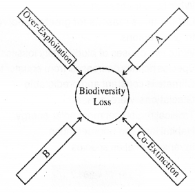 Plus Two Zoology Chapter Wise Previous Questions Chapter 8 Biodiversity and Conservation 3