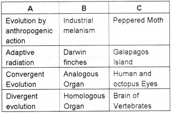 Plus Two Zoology Chapter Wise Questions and Answers Chapter 5 Evolution 3M Q5.1