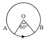 What are the Parts of a Circle 8