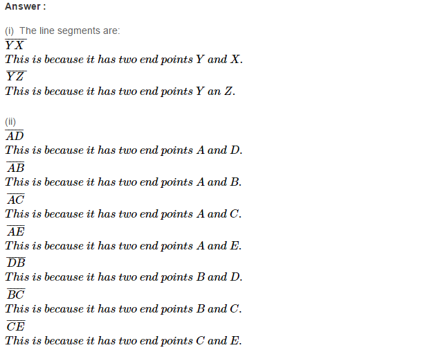 line Segment Ray and Line RS Aggarwal Class 6 Maths Solutions Ex 11A 1.1